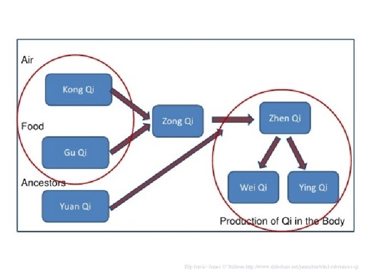 Kép forrás: James O’Sullivan http: //www. slideshare. net/jamushur/vital-substances-qi 