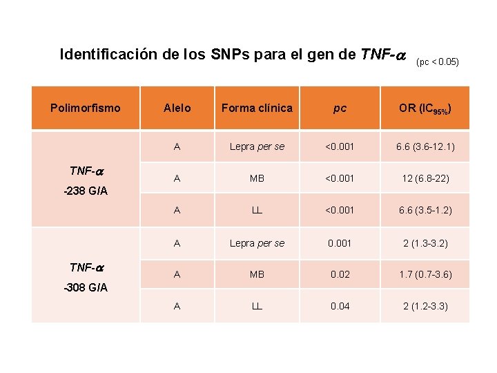 Identificación de los SNPs para el gen de TNF- Polimorfismo TNF- (pc < 0.