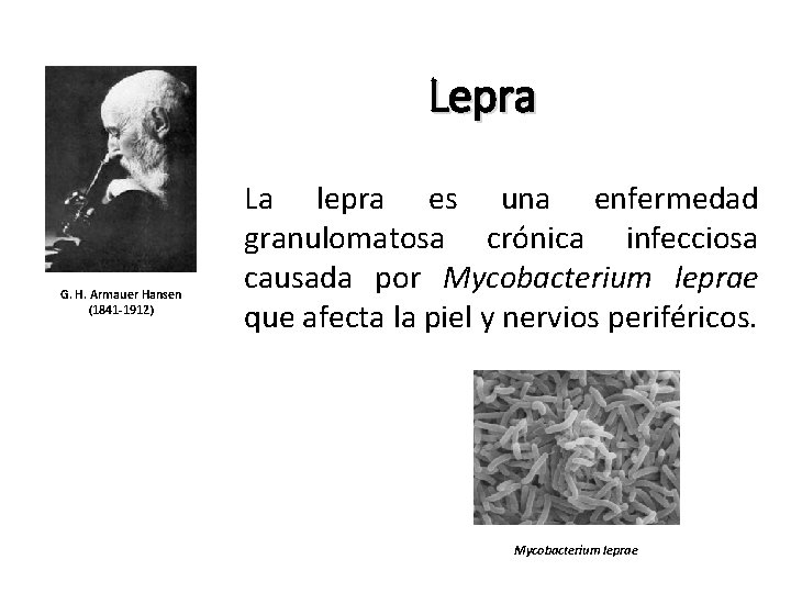 Lepra G. H. Armauer Hansen (1841 -1912) La lepra es una enfermedad granulomatosa crónica