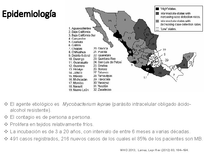 Epidemiología v El agente etiológico es Mycobacterium leprae (parásito intracelular obligado ácidoalcohol resistente). v