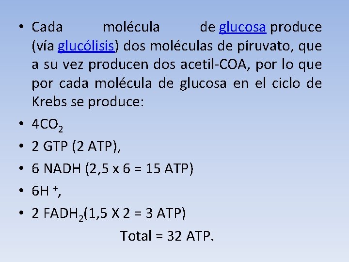  • Cada molécula de glucosa produce (vía glucólisis) dos moléculas de piruvato, que