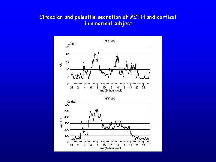 Circadian and pulsatile secretion of ACTH and cortisol in a normal subject 