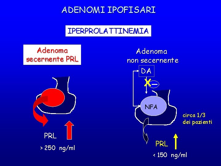 ADENOMI IPOFISARI IPERPROLATTINEMIA Adenoma secernente PRL Adenoma non secernente DA X NFA circa 1/3