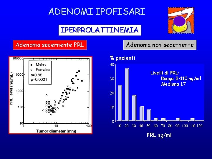 ADENOMI IPOFISARI IPERPROLATTINEMIA Adenoma secernente PRL Adenoma non secernente % pazienti Livelli di PRL: