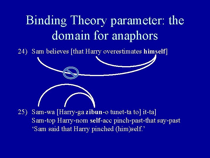 Binding Theory parameter: the domain for anaphors 24) Sam believes [that Harry overestimates himself]