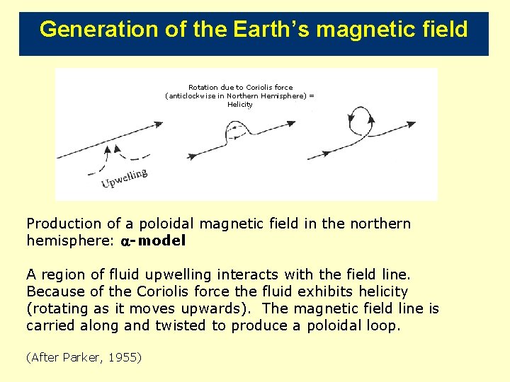 Generation of the Earth’s magnetic field Rotation due to Coriolis force (anticlockwise in Northern