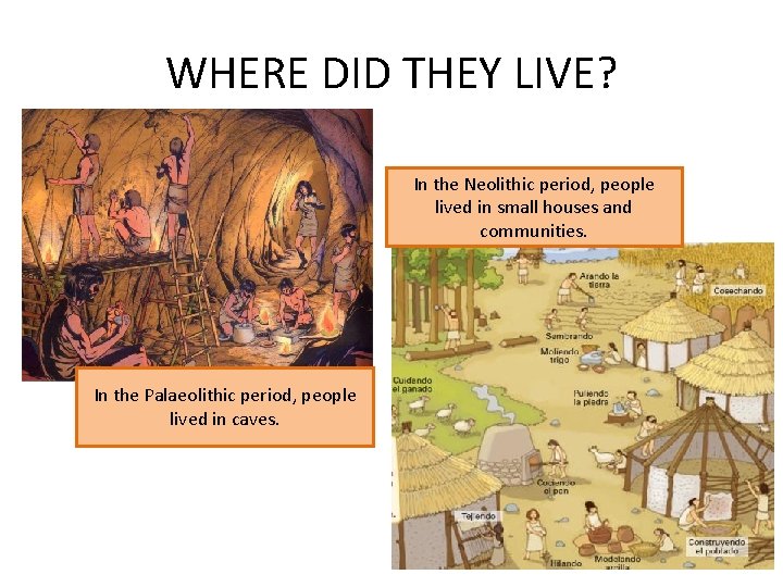 WHERE DID THEY LIVE? In the Neolithic period, people lived in small houses and