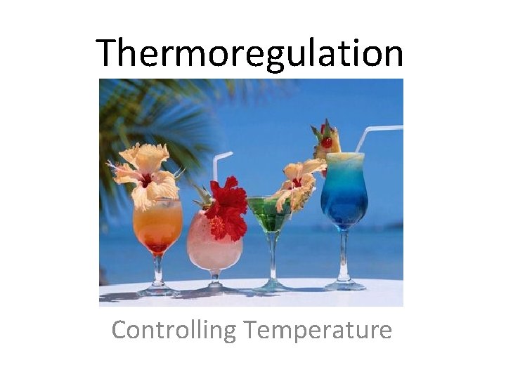 Thermoregulation Controlling Temperature 