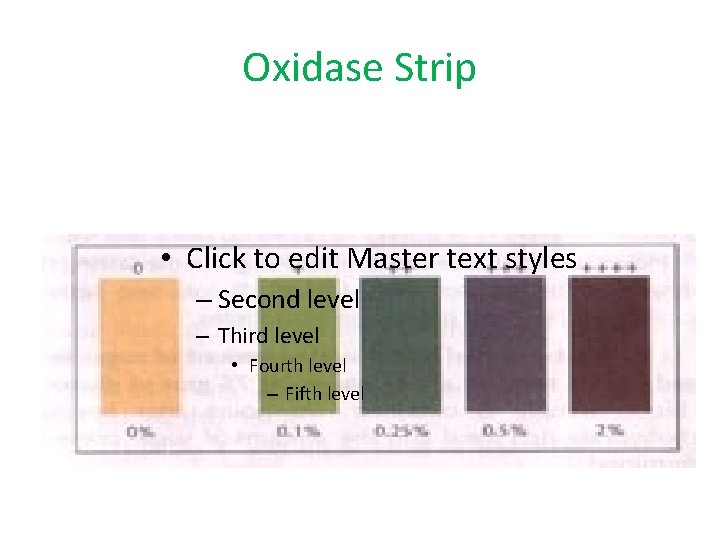 Oxidase Strip • Click to edit Master text styles – Second level – Third