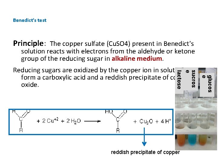 Benedict's test Principle: The copper sulfate (Cu. SO 4) present in Benedict's solution reacts