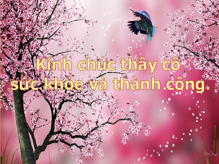 Kính chúc thầy cô sức khỏe và thành công. 15 