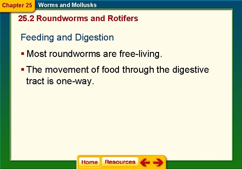 Chapter 25 Worms and Mollusks 25. 2 Roundworms and Rotifers Feeding and Digestion § Chapter 25 Worms and Mollusks 25. 2 Roundworms and Rotifers Feeding and Digestion §