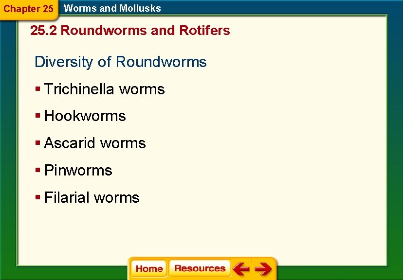 Chapter 25 Worms and Mollusks 25. 2 Roundworms and Rotifers Diversity of Roundworms § Chapter 25 Worms and Mollusks 25. 2 Roundworms and Rotifers Diversity of Roundworms §