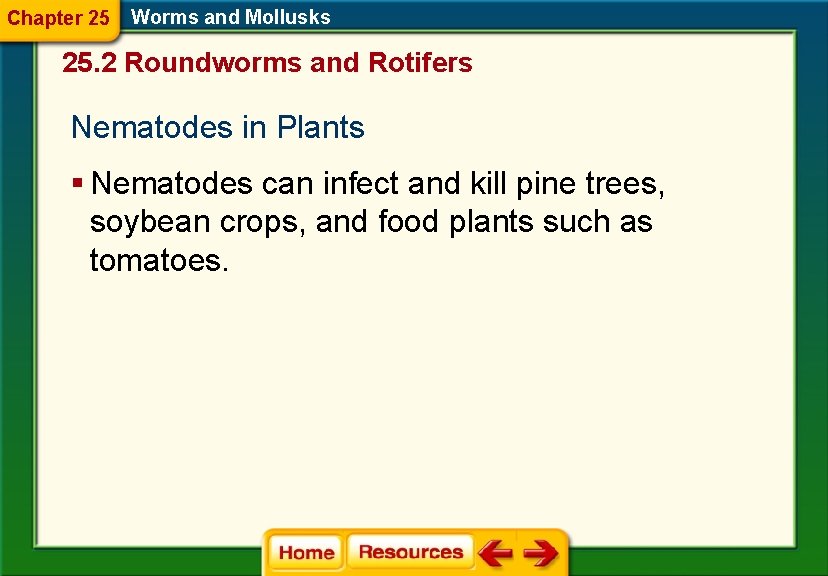 Chapter 25 Worms and Mollusks 25. 2 Roundworms and Rotifers Nematodes in Plants § Chapter 25 Worms and Mollusks 25. 2 Roundworms and Rotifers Nematodes in Plants §