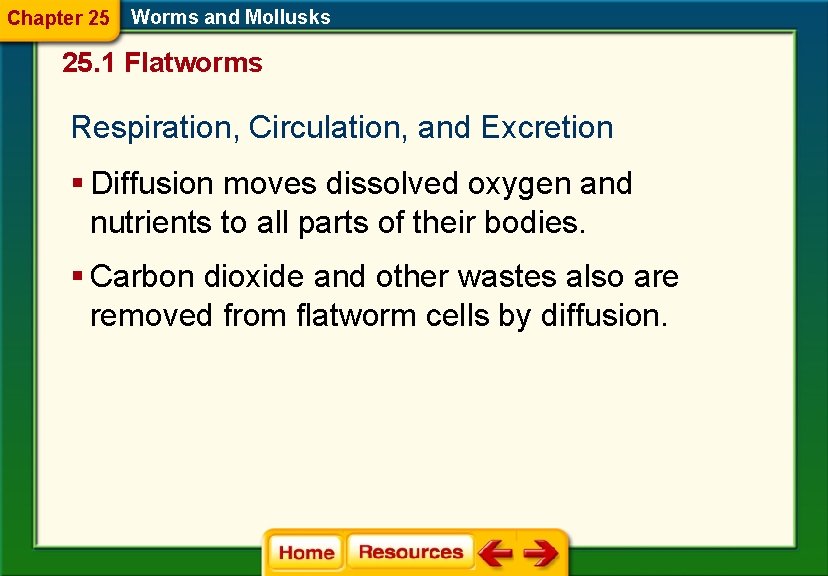 Chapter 25 Worms and Mollusks 25. 1 Flatworms Respiration, Circulation, and Excretion § Diffusion Chapter 25 Worms and Mollusks 25. 1 Flatworms Respiration, Circulation, and Excretion § Diffusion
