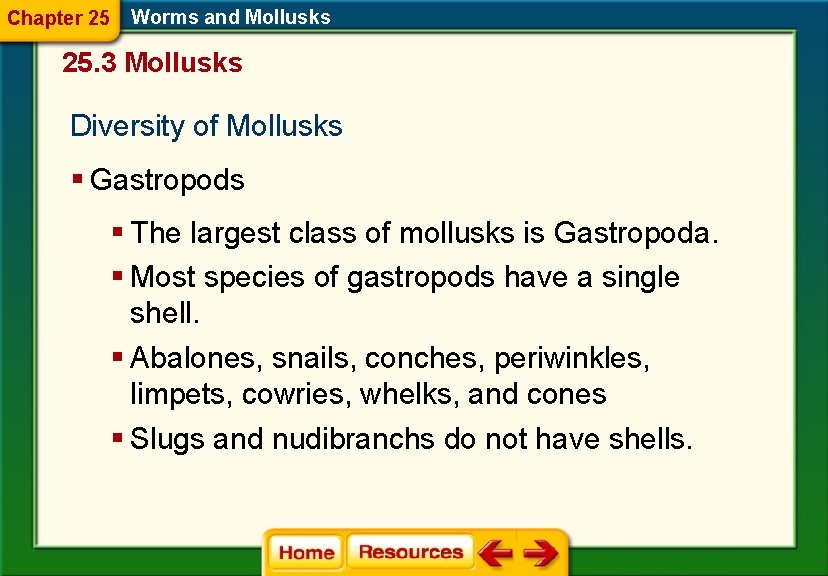 Chapter 25 Worms and Mollusks 25. 3 Mollusks Diversity of Mollusks § Gastropods § Chapter 25 Worms and Mollusks 25. 3 Mollusks Diversity of Mollusks § Gastropods §