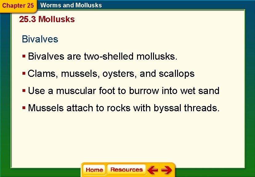 Chapter 25 Worms and Mollusks 25. 3 Mollusks Bivalves § Bivalves are two-shelled mollusks. Chapter 25 Worms and Mollusks 25. 3 Mollusks Bivalves § Bivalves are two-shelled mollusks.