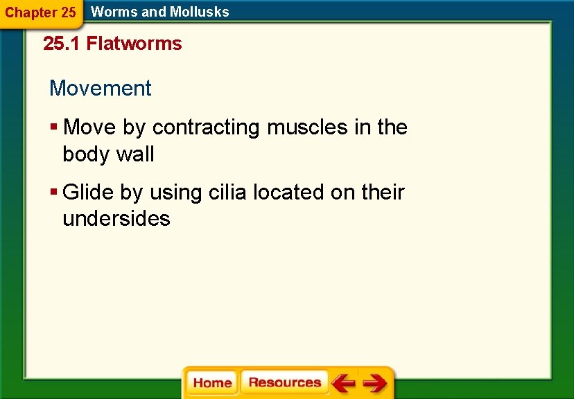 Chapter 25 Worms and Mollusks 25. 1 Flatworms Movement § Move by contracting muscles Chapter 25 Worms and Mollusks 25. 1 Flatworms Movement § Move by contracting muscles