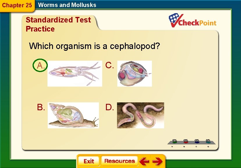 Chapter 25 Worms and Mollusks Standardized Test Practice Which organism is a cephalopod? A. Chapter 25 Worms and Mollusks Standardized Test Practice Which organism is a cephalopod? A.