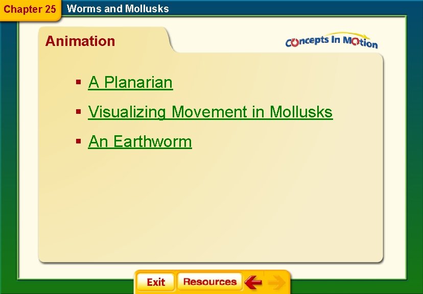 Chapter 25 Worms and Mollusks Animation § A Planarian § Visualizing Movement in Mollusks Chapter 25 Worms and Mollusks Animation § A Planarian § Visualizing Movement in Mollusks