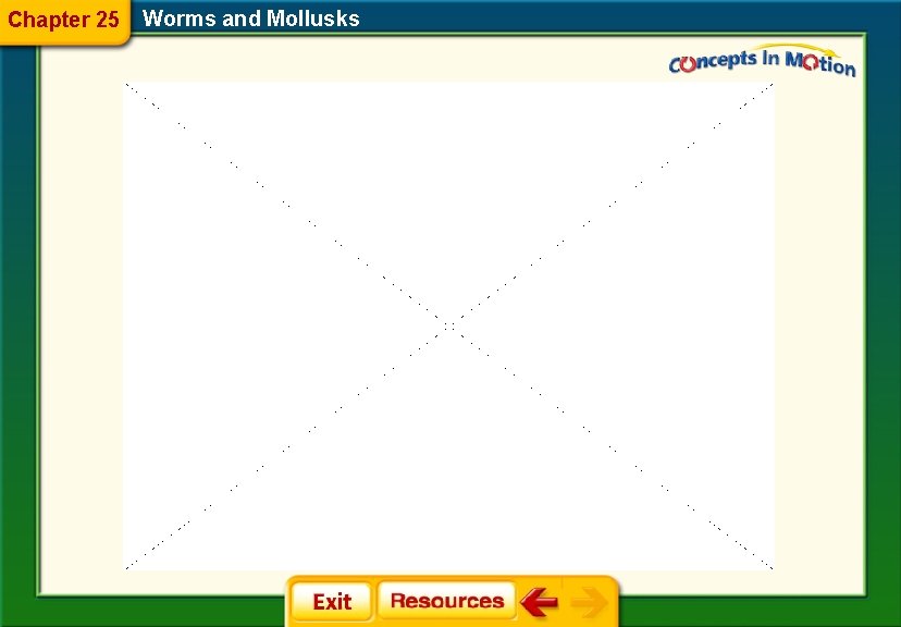 Chapter 25 Worms and Mollusks Chapter 25 Worms and Mollusks