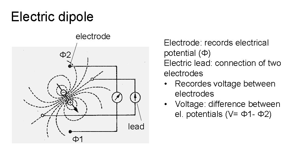 Electric dipole electrode Electrode: records electrical potential (Φ) Electric lead: connection of two electrodes