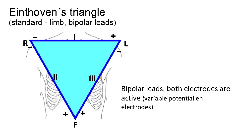 Einthoven´s triangle (standard - limb, bipolar leads) I R II L III Bipolar leads: