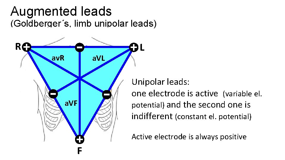 Augmented leads (Goldberger´s, limb unipolar leads) R av. R a. VL a. VF L