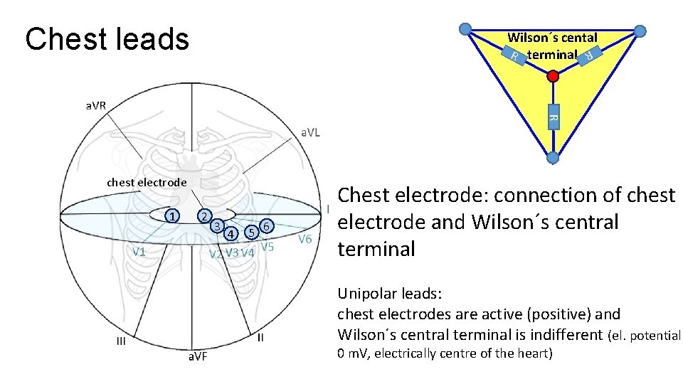 Chest leads Wilson´s cental R terminal R R chest electrode 1 2 3 4