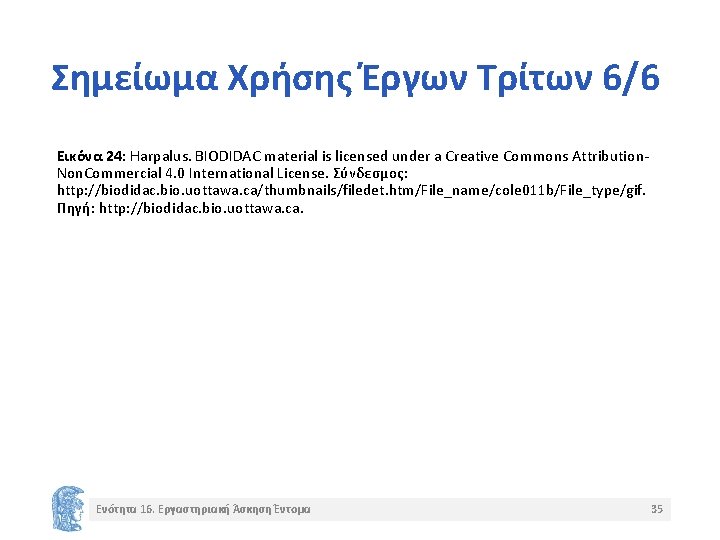Σημείωμα Χρήσης Έργων Τρίτων 6/6 Εικόνα 24: Harpalus. BIODIDAC material is licensed under a Σημείωμα Χρήσης Έργων Τρίτων 6/6 Εικόνα 24: Harpalus. BIODIDAC material is licensed under a