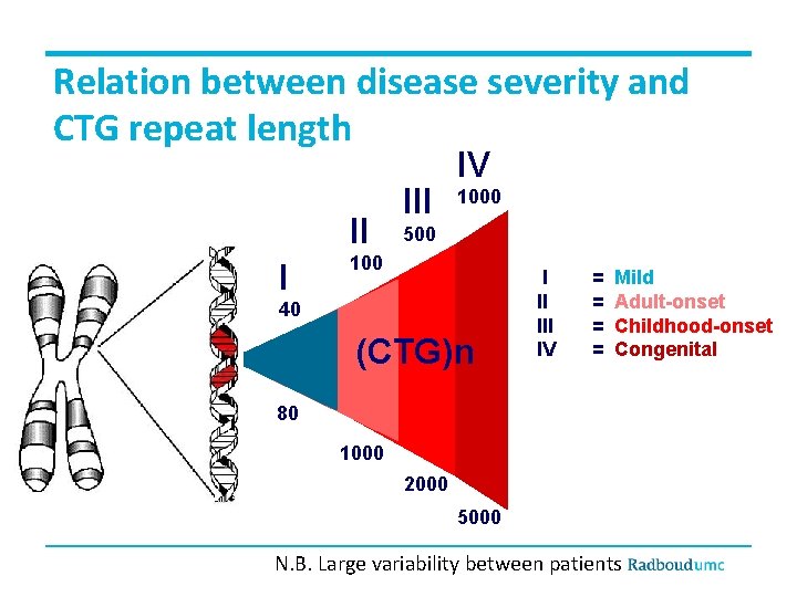 Relation between disease severity and CTG repeat length II I III IV 1000 500