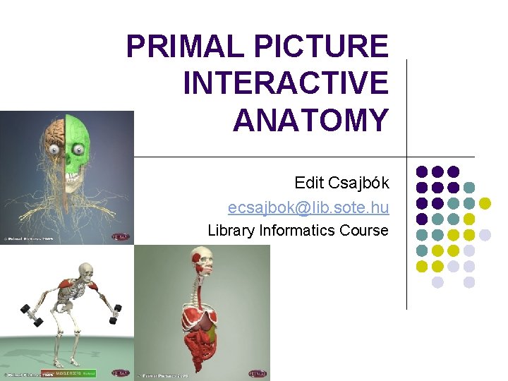 PRIMAL PICTURE INTERACTIVE ANATOMY Edit Csajbók ecsajbok@lib. sote. hu Library Informatics Course 