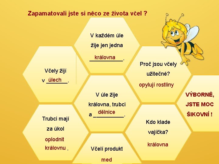 Zapamatovali jste si něco ze života včel ? V každém úle žije jen jedna Zapamatovali jste si něco ze života včel ? V každém úle žije jen jedna