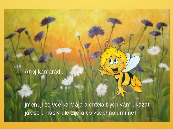 Ahoj kamarádi, jmenuji se včelka Mája a chtěla bych vám ukázat, jak se u Ahoj kamarádi, jmenuji se včelka Mája a chtěla bych vám ukázat, jak se u