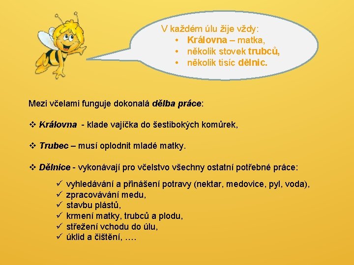 V každém úlu žije vždy: • Královna – matka, • několik stovek trubců, • V každém úlu žije vždy: • Královna – matka, • několik stovek trubců, •