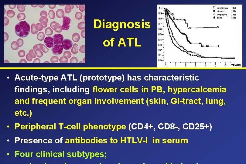 Diagnosis of ATL • Acute-type ATL (prototype) has characteristic findings, including flower cells in