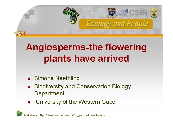 Angiosperms-the flowering plants have arrived l l l Simone Neethling Biodiversity and Conservation Biology