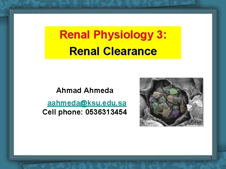 Renal Physiology 3: Renal Clearance Ahmad Ahmeda aahmeda@ksu. edu. sa Cell phone: 0536313454 1 Renal Physiology 3: Renal Clearance Ahmad Ahmeda aahmeda@ksu. edu. sa Cell phone: 0536313454 1