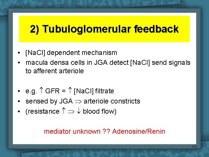 2) Tubuloglomerular feedback • [Na. Cl] dependent mechanism • macula densa cells in JGA