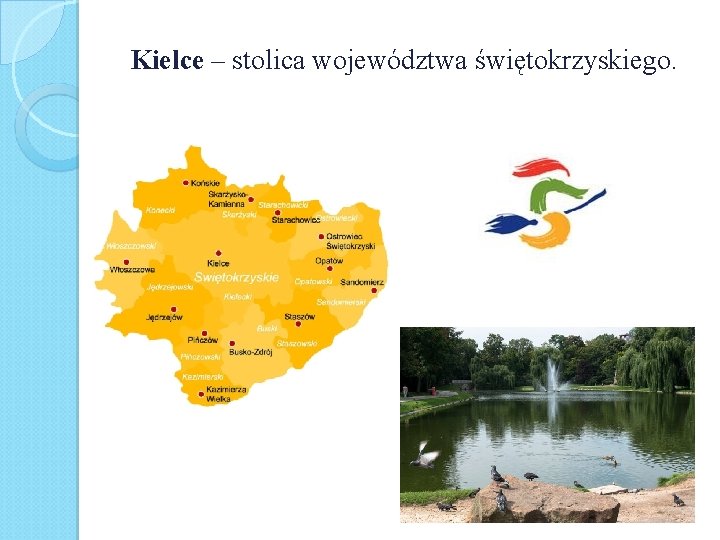 Kielce – stolica województwa świętokrzyskiego. 