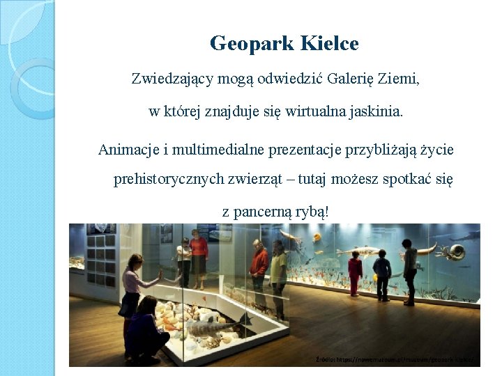 Geopark Kielce Zwiedzający mogą odwiedzić Galerię Ziemi, w której znajduje się wirtualna jaskinia. Animacje