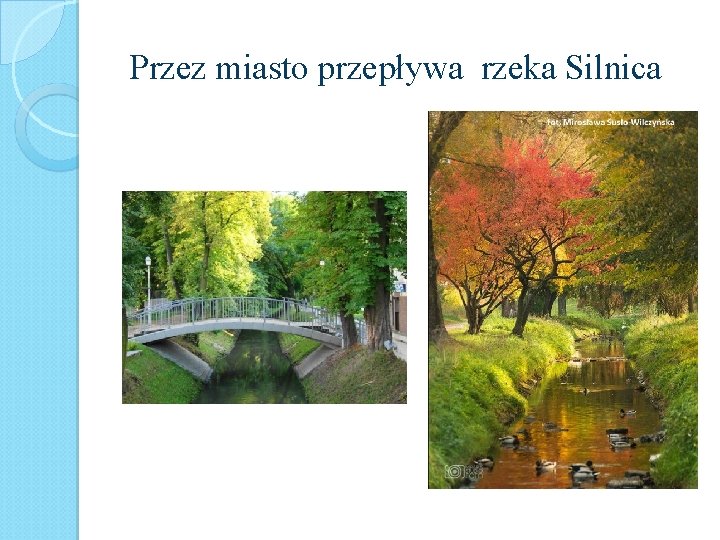 Przez miasto przepływa rzeka Silnica 