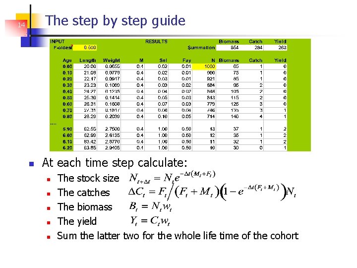 The step by step guide 14 At each time step calculate: The stock size