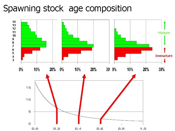 Spawning stock age composition 28 14 13 12 11 10 9 8 7 6