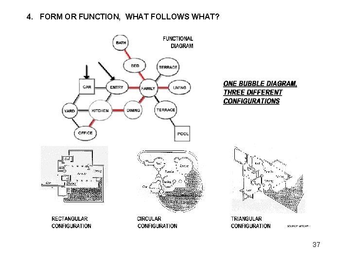 4. FORM OR FUNCTION, WHAT FOLLOWS WHAT? 37 