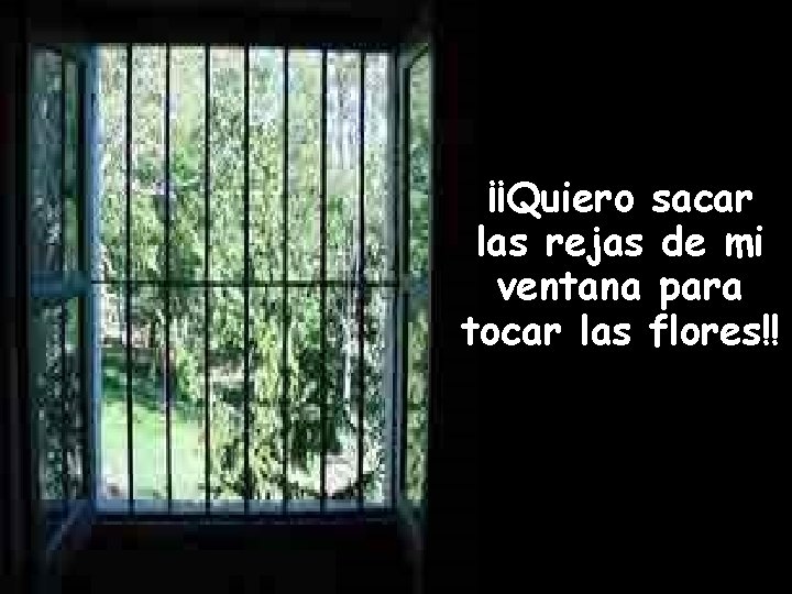 ¡¡Quiero sacar las rejas de mi ventana para tocar las flores!! 