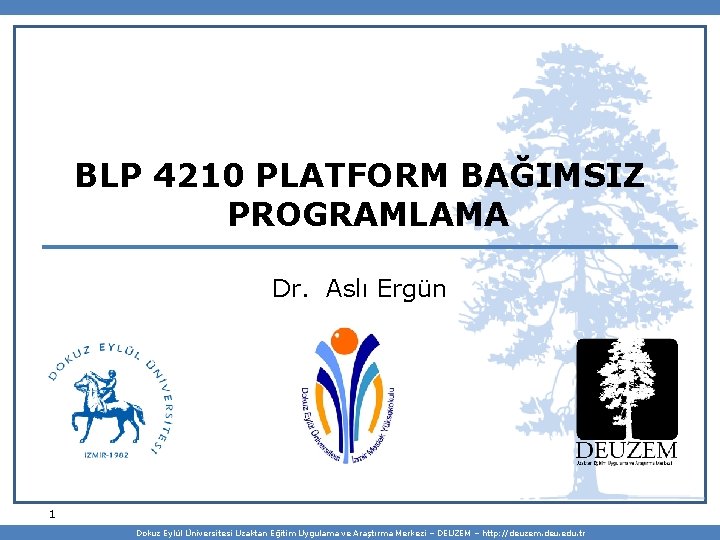 BLP 4210 PLATFORM BAĞIMSIZ PROGRAMLAMA Dr. Aslı Ergün 1 Dokuz Eylül Üniversitesi Uzaktan Eğitim