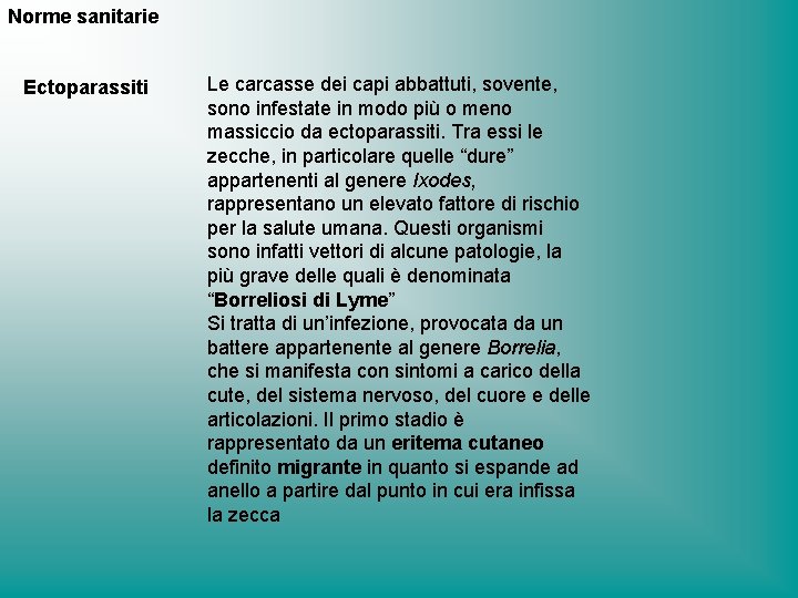 Norme sanitarie Ectoparassiti Le carcasse dei capi abbattuti, sovente, sono infestate in modo più