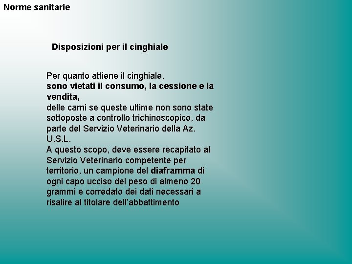 Norme sanitarie Disposizioni per il cinghiale Per quanto attiene il cinghiale, sono vietati il