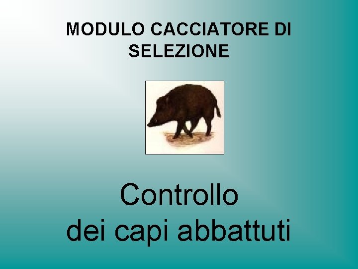 MODULO CACCIATORE DI SELEZIONE Controllo dei capi abbattuti 